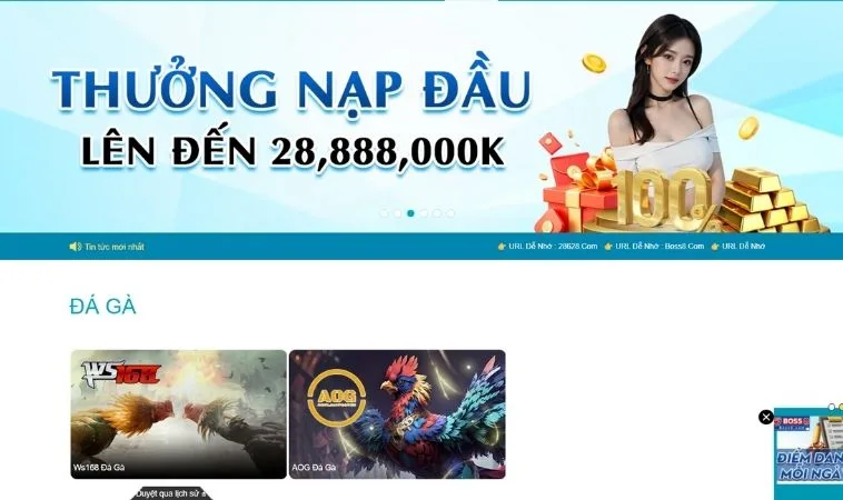 Sảnh đá gà BOSS8 thiết kế giao diện đẹp, chuyên nghiệp